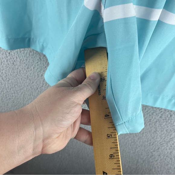 Men's Chubbies Mens 3XL Pink & Blue Classic Lined Striped 5.5 in. Swim Trunk - Picture 8 of 14